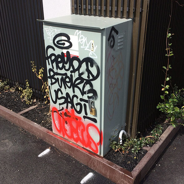 Before image