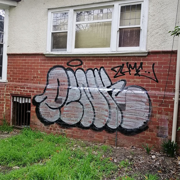 Before image
